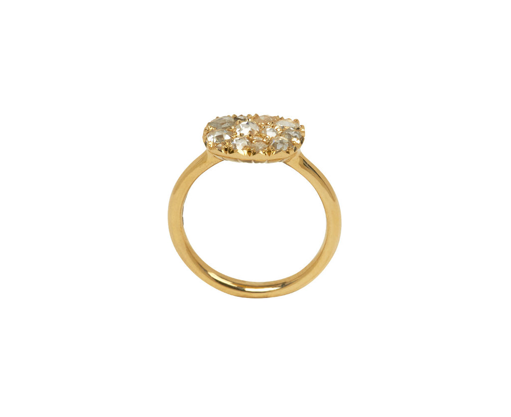 Horizontal Mini Into the Wild Ring