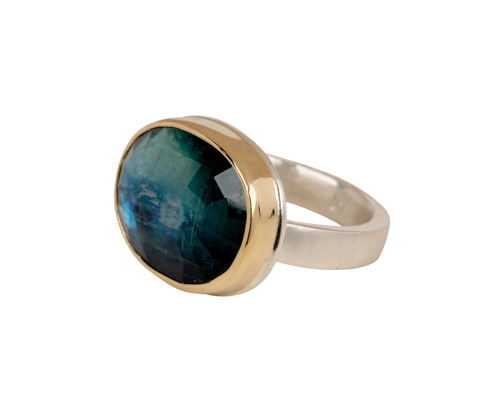 Jamie Joseph Duo Chromatic Kyanite Ring - Closeup