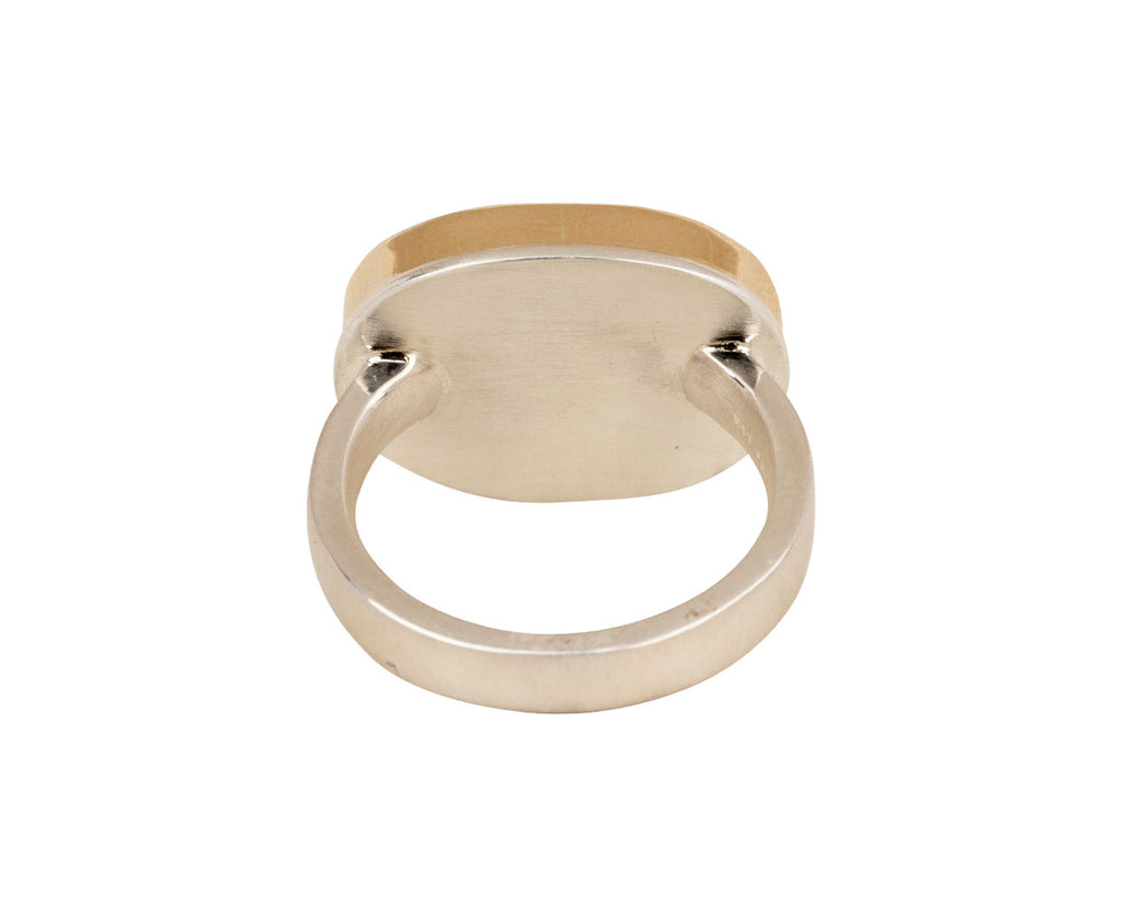 Jamie Joseph Duo Chromatic Kyanite Ring - Back View