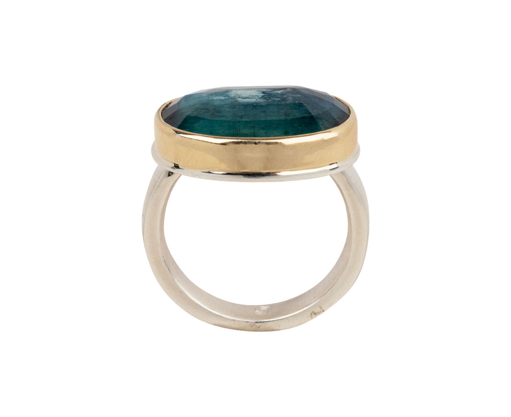 Jamie Joseph Duo Chromatic Kyanite Ring - Side View