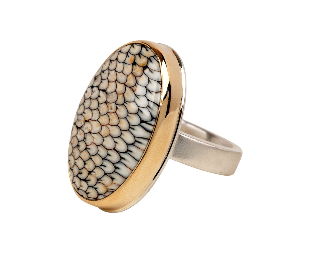 Jamie Joseph Oval Snakeskin Agate Ring - Closeup