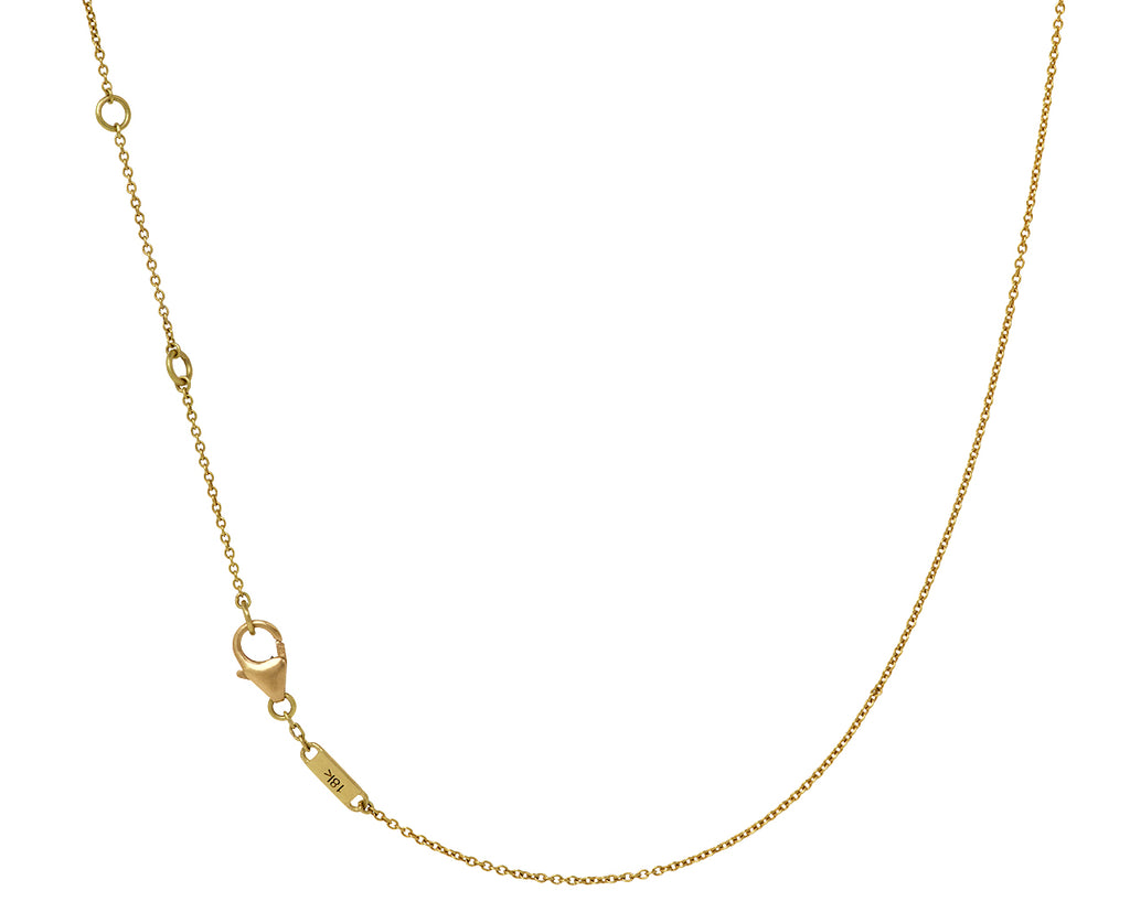 Kothari Elements Labradorite Demi Fringe Necklace - Closure