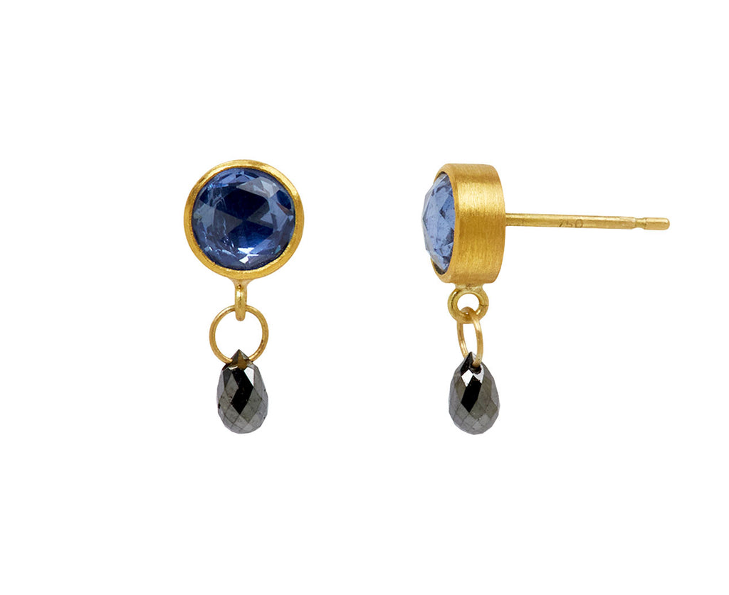 Blue Sapphire and Black Diamond Apple & Eve Earrings