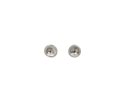 Silver Baby Mussel Stud Earrings