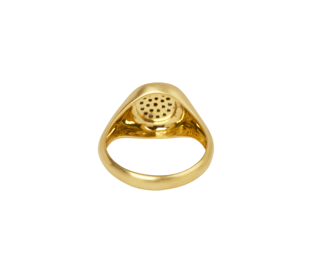 Blue and Black Diamond Healing Eye Signet Ring