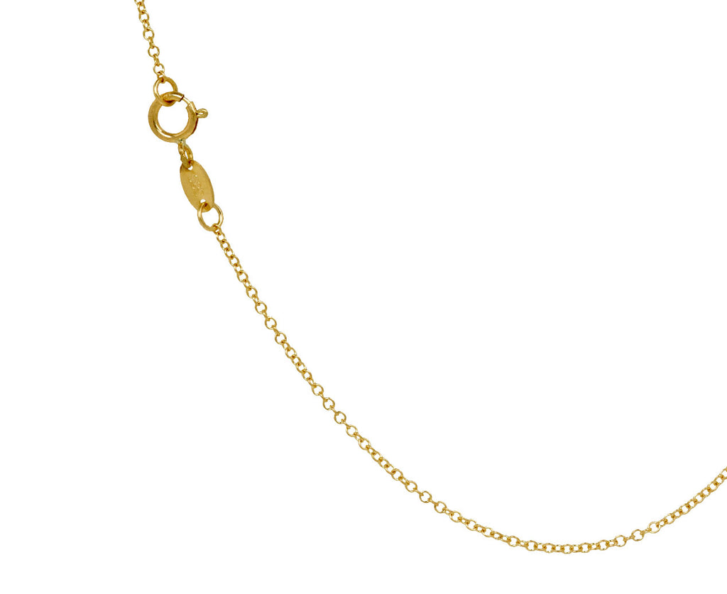 Ruby Andromeda Necklace