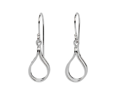 Small Splended Earrings