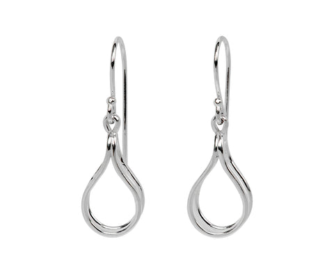 Small Splended Earrings