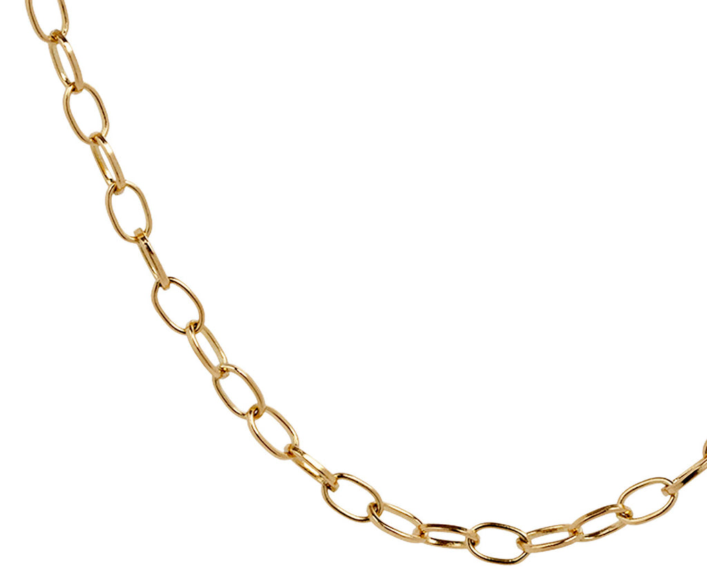 Renna 18" Rolo Chain Necklace Close Up