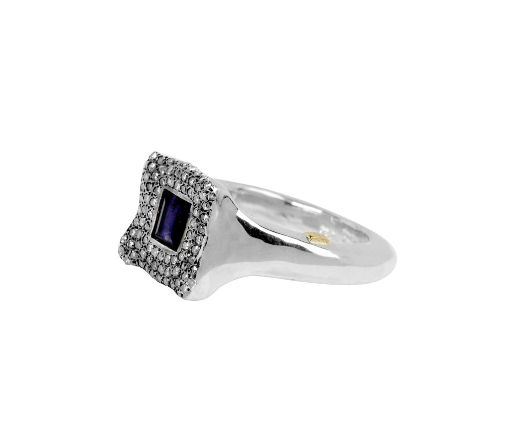 Rosa Maria Iolite and Icy Grey Diamond Leslie Ring - side