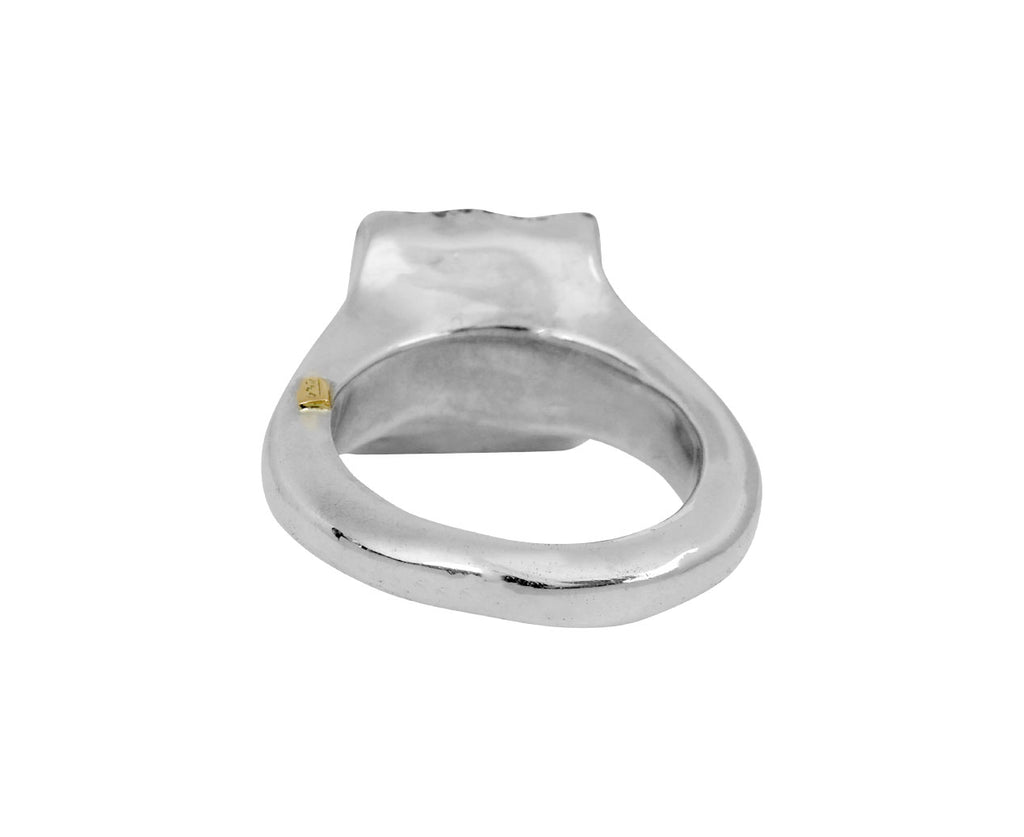 Rosa Maria Iolite and Icy Grey Diamond Leslie Ring - back