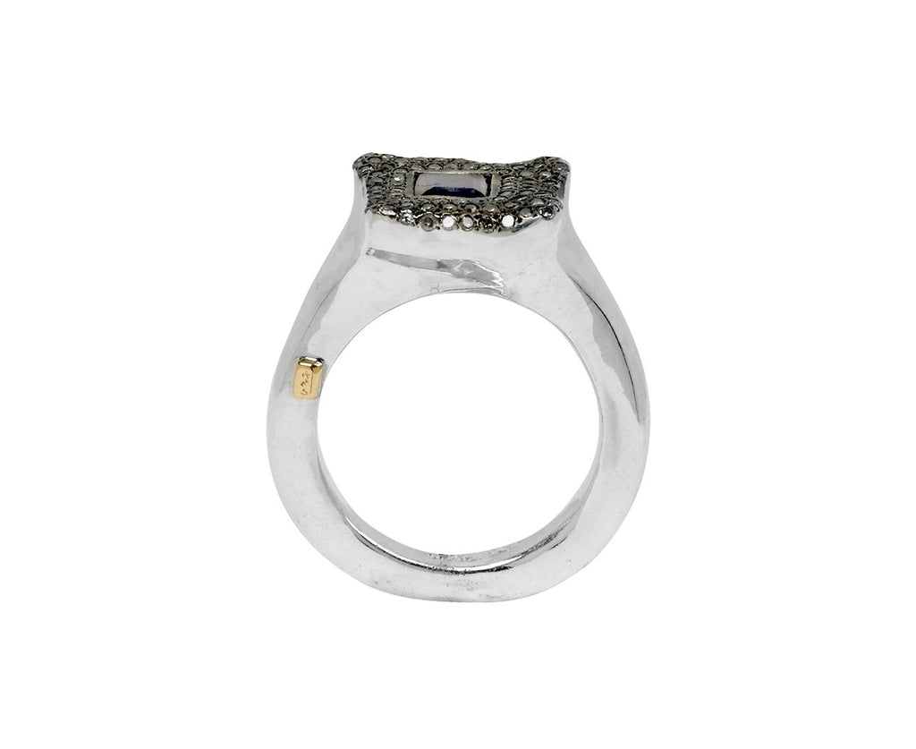 Rosa Maria Iolite and Icy Grey Diamond Leslie Ring - top down