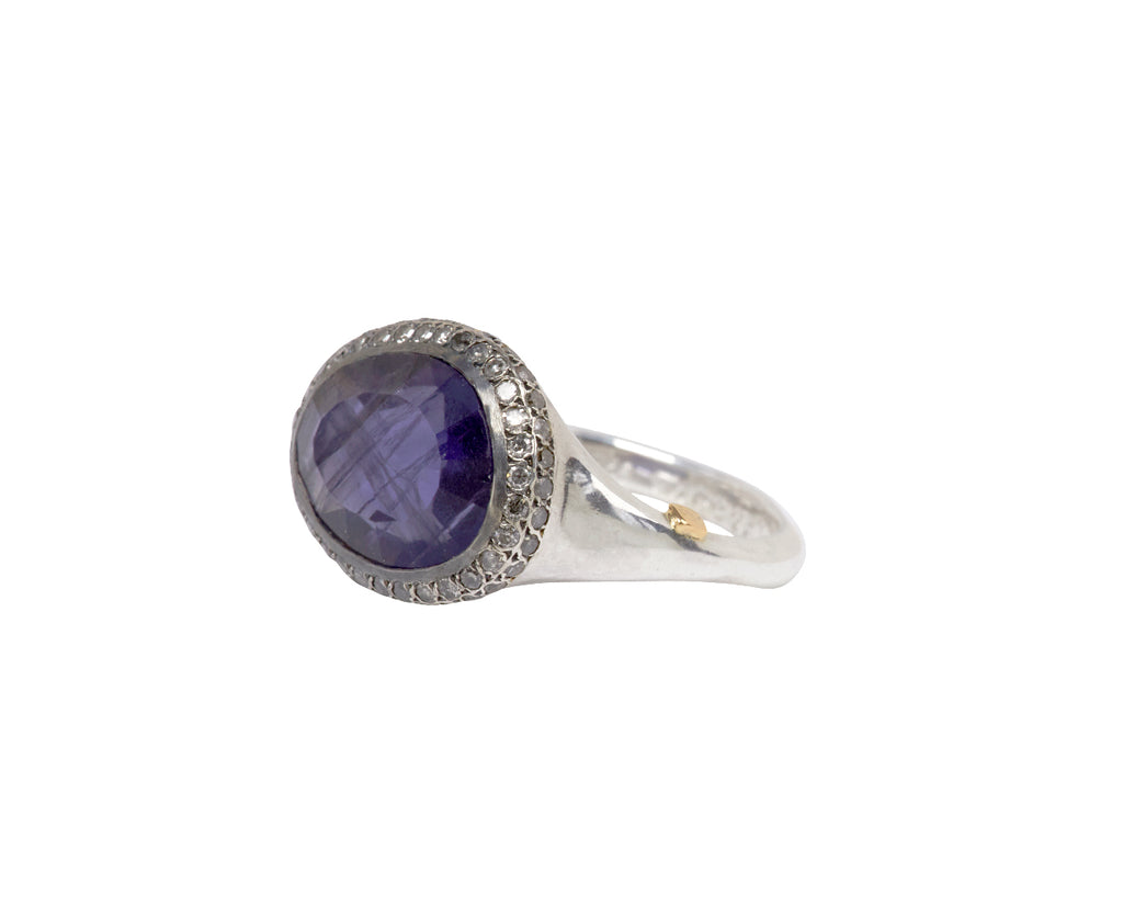 Rosa Maria Iolite and Icy Gray Diamond Olax Ring - Angled View
