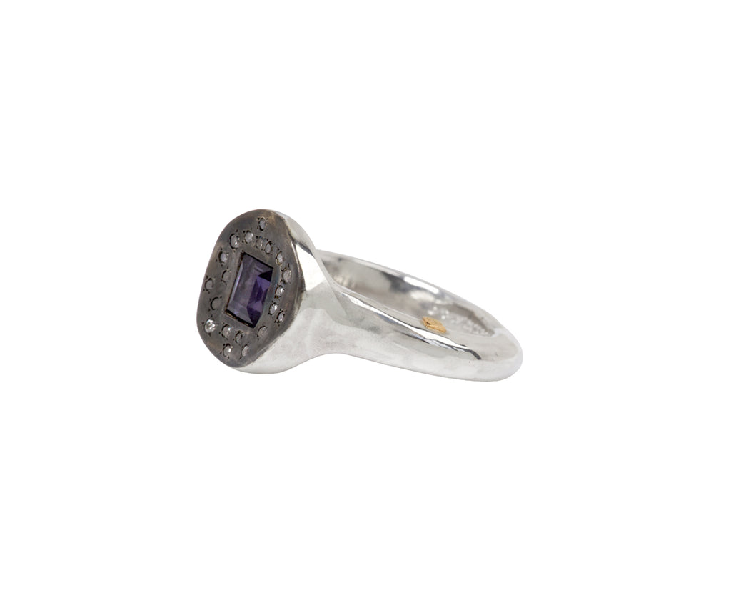 Rosa Maria Iolite and Icy Gray Diamond Ring - Angled View