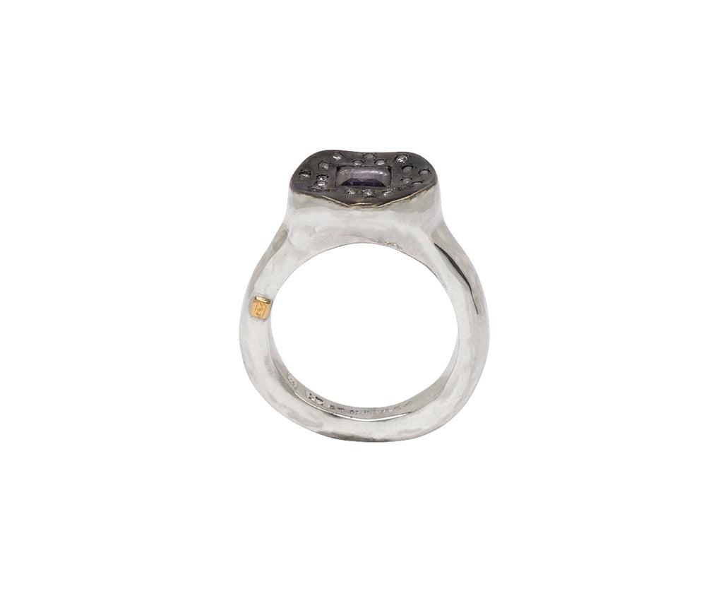 Rosa Maria Iolite and Icy Gray Diamond Ring - Top Down
