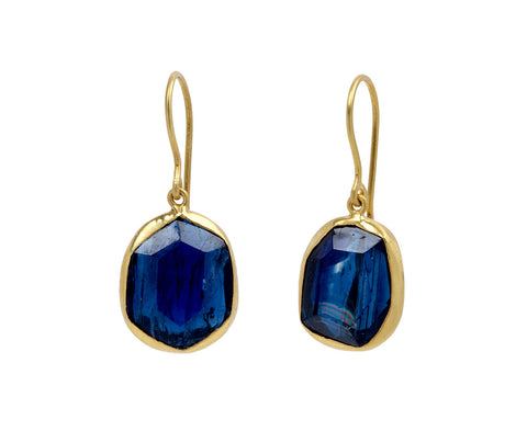 Eye of the Peacock Kyanite Drop Earrings