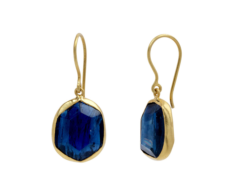 Pippa Small Eye of the Peacock Kyanite Drop Earrings