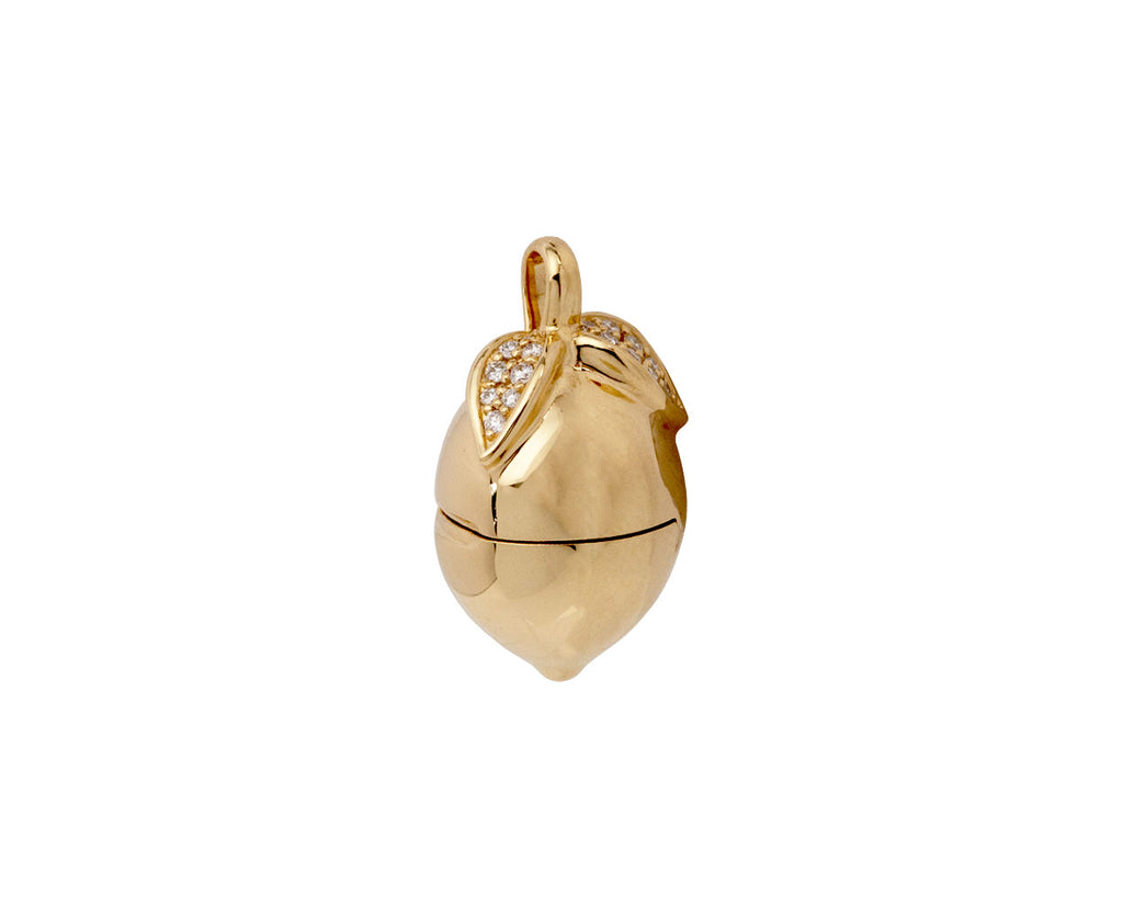Lemon Locket Pendant ONLY