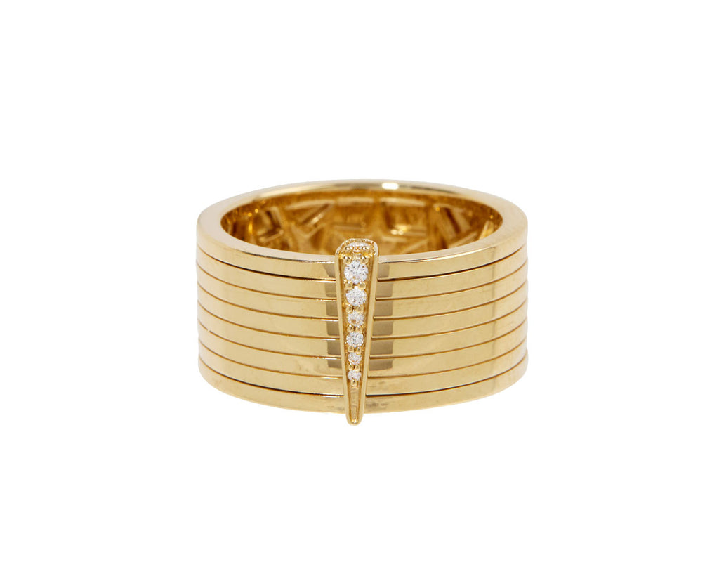 Spinning Record Ring