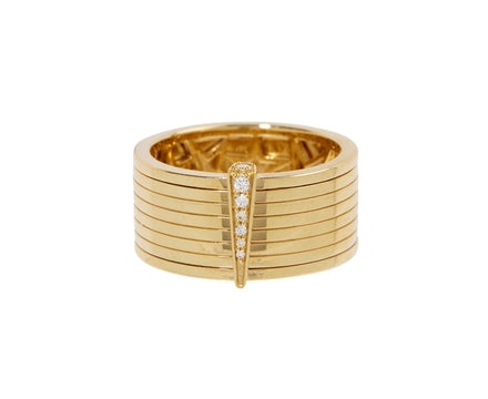 Spinning Record Ring