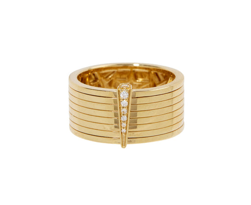 Spinning Record Ring