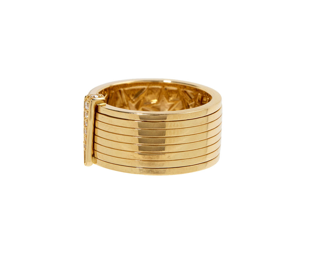 Spinning Record Ring