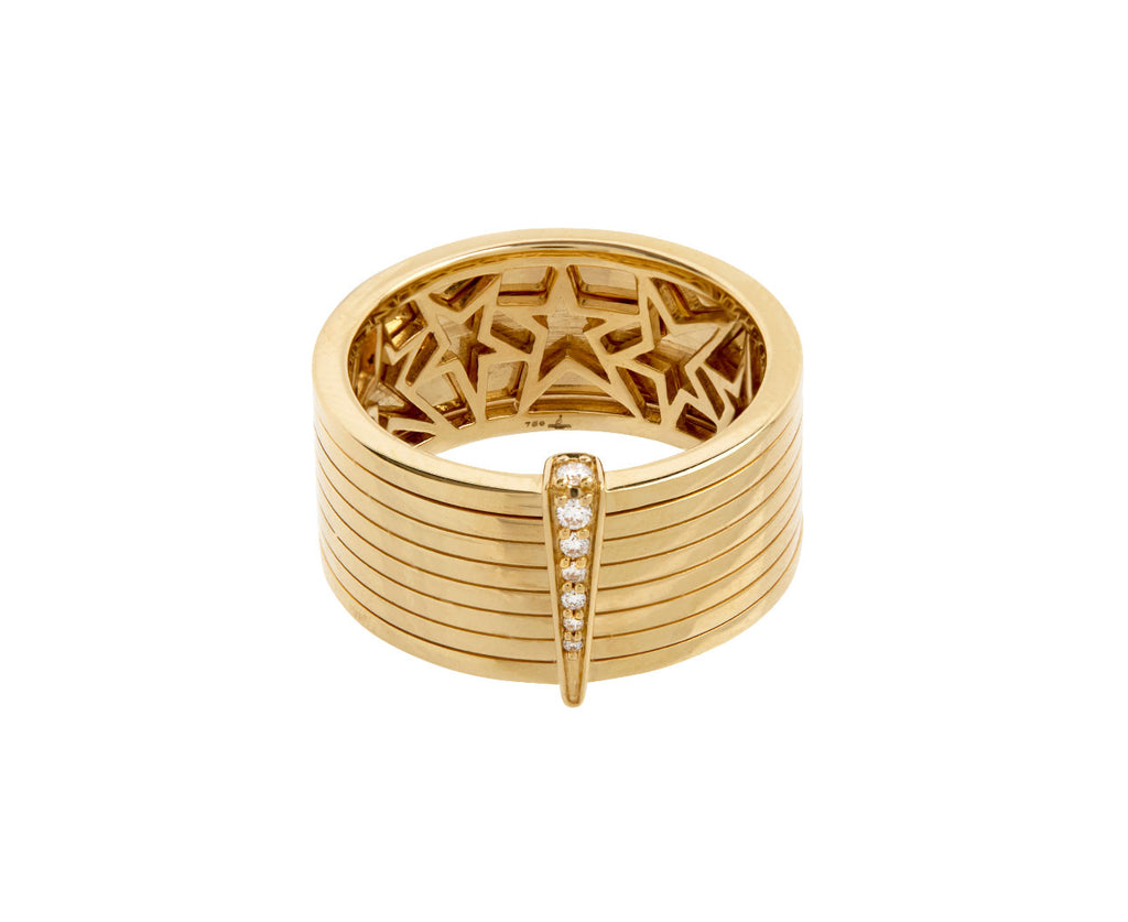 Spinning Record Ring