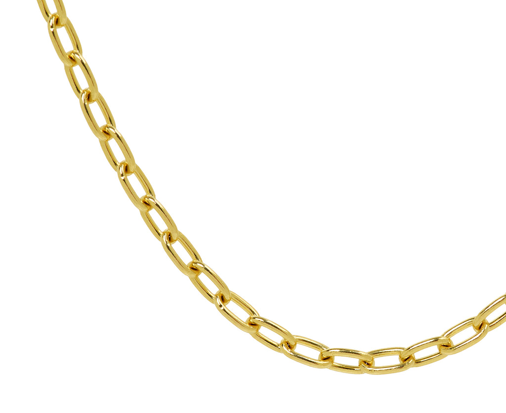 Stephanie Windsor 16" Solid Oval Link Chain Necklace - Closeup