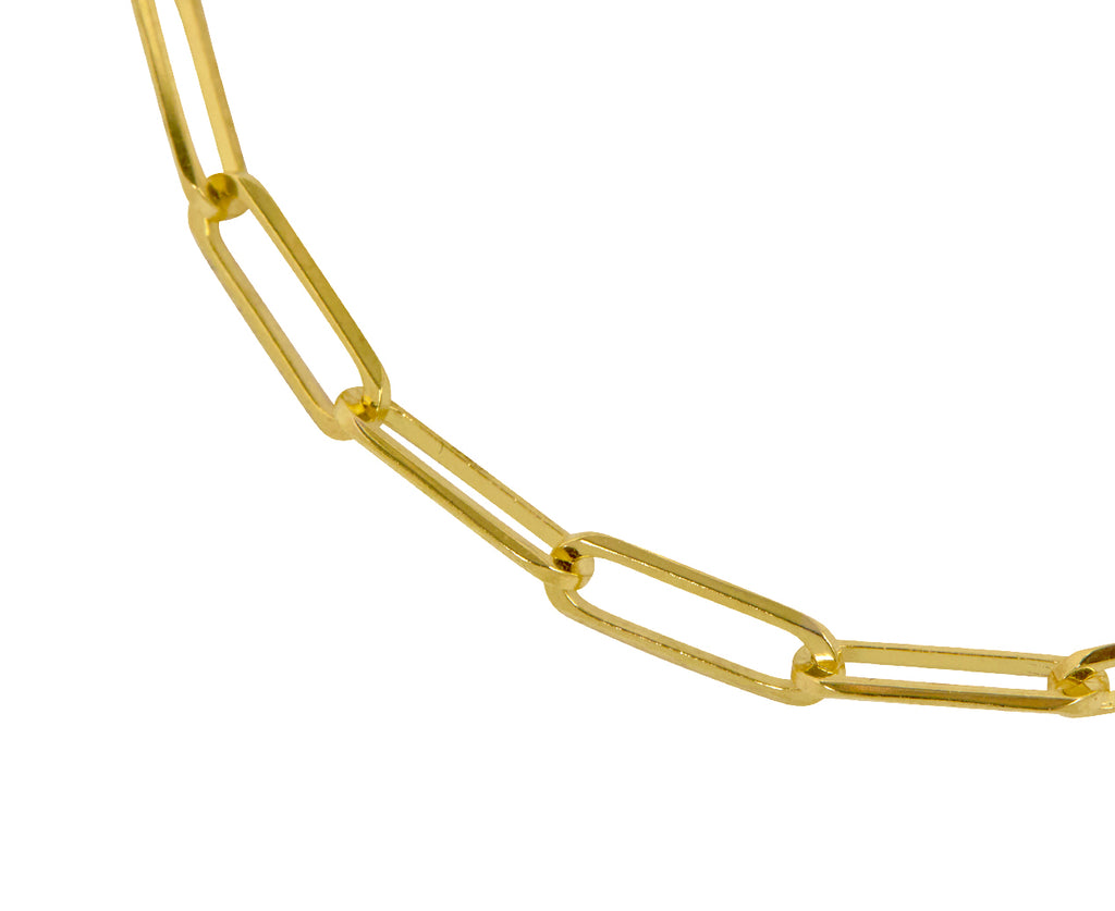 Stephanie Windsor 7" Gold Rectangular Link Chain Bracelet - Closeup