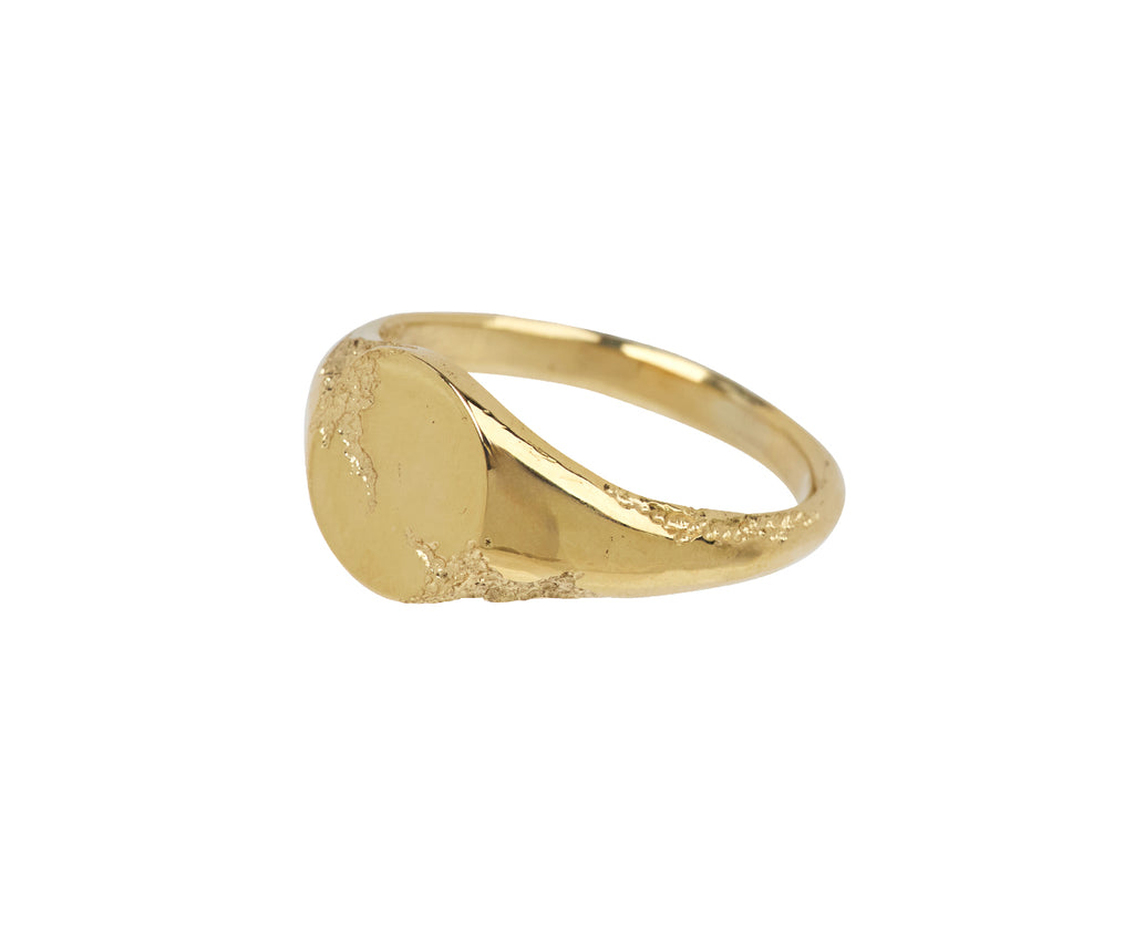 Tó Garal Secret Guardian Gold Signet Ring - Angled View