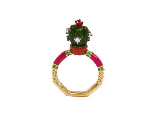 The Adventures of the Cactus Ring