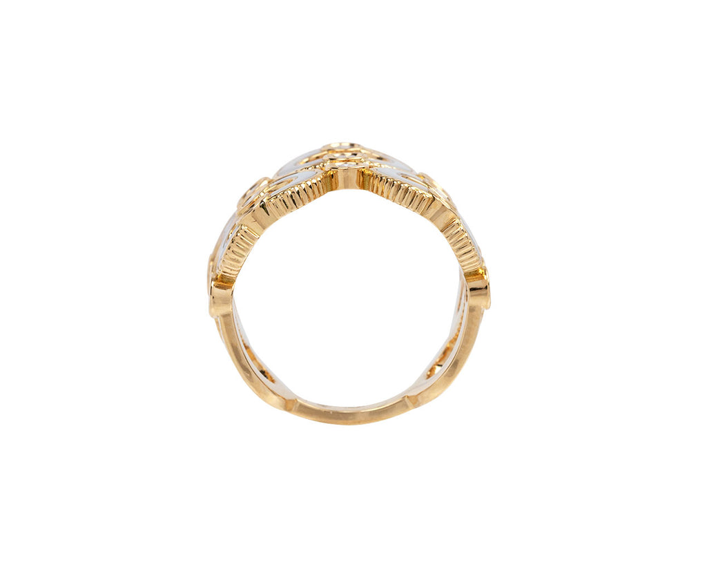 Double Mother-of-Pearl Magnetic Ring