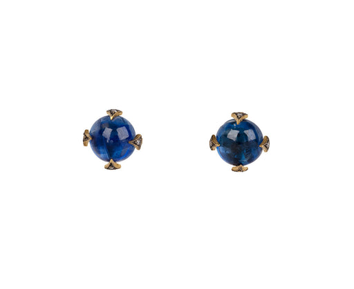 Cathy Waterman Kyanite Thorn Stud Earrings