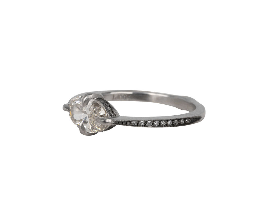 Cathy Waterman Platinum Diamond Minerva Ring Side View