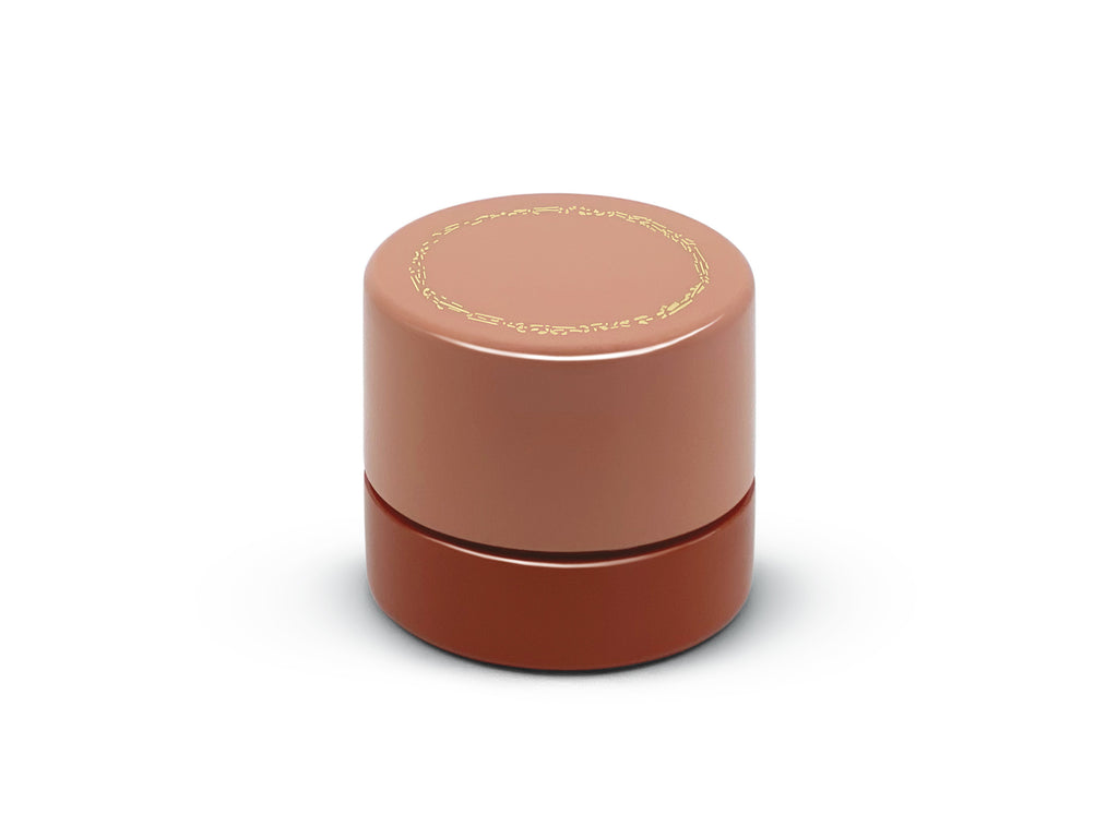 Blush Sidekick Jewelry Box