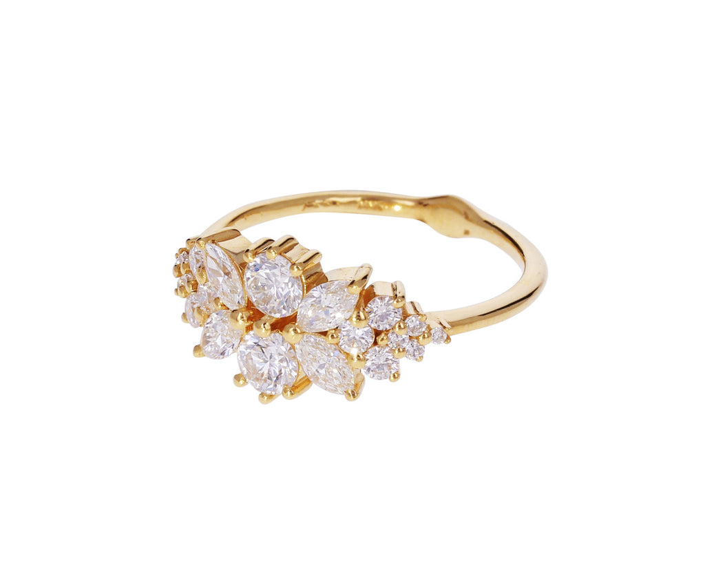 Flora Diamond Cluster Ring - TWISTonline 