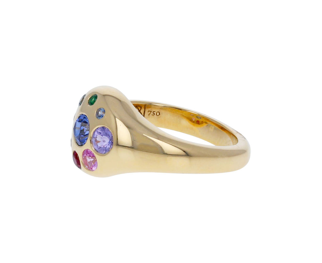 Rainbow Sapphire Medium Petal Ring