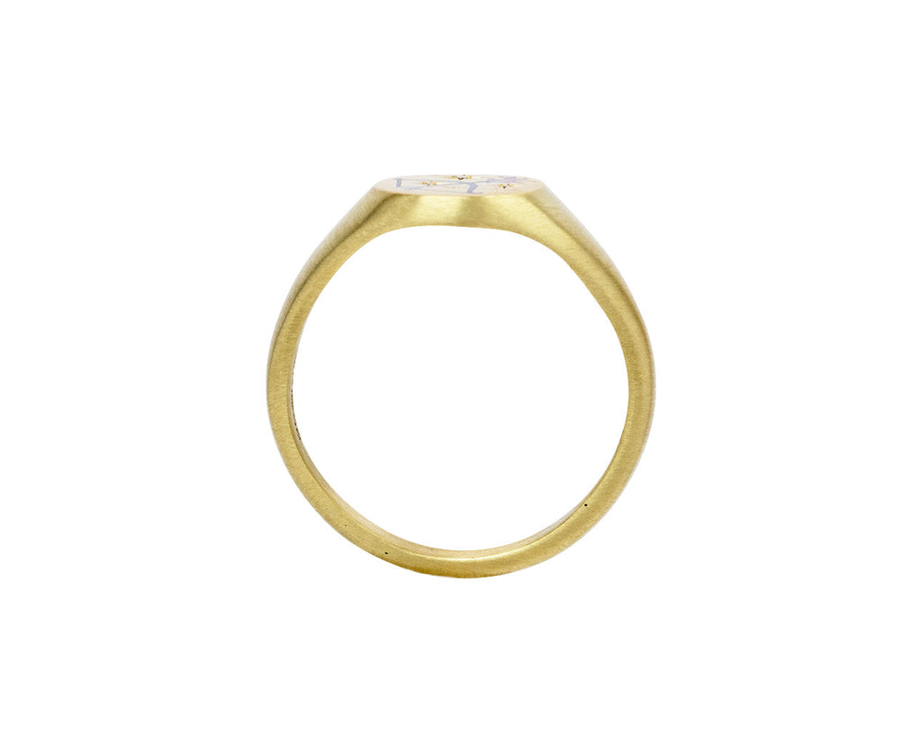 Cece Jewelry The Sagittarius Ring Top