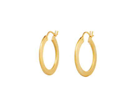 Small Gold Plated Hoops