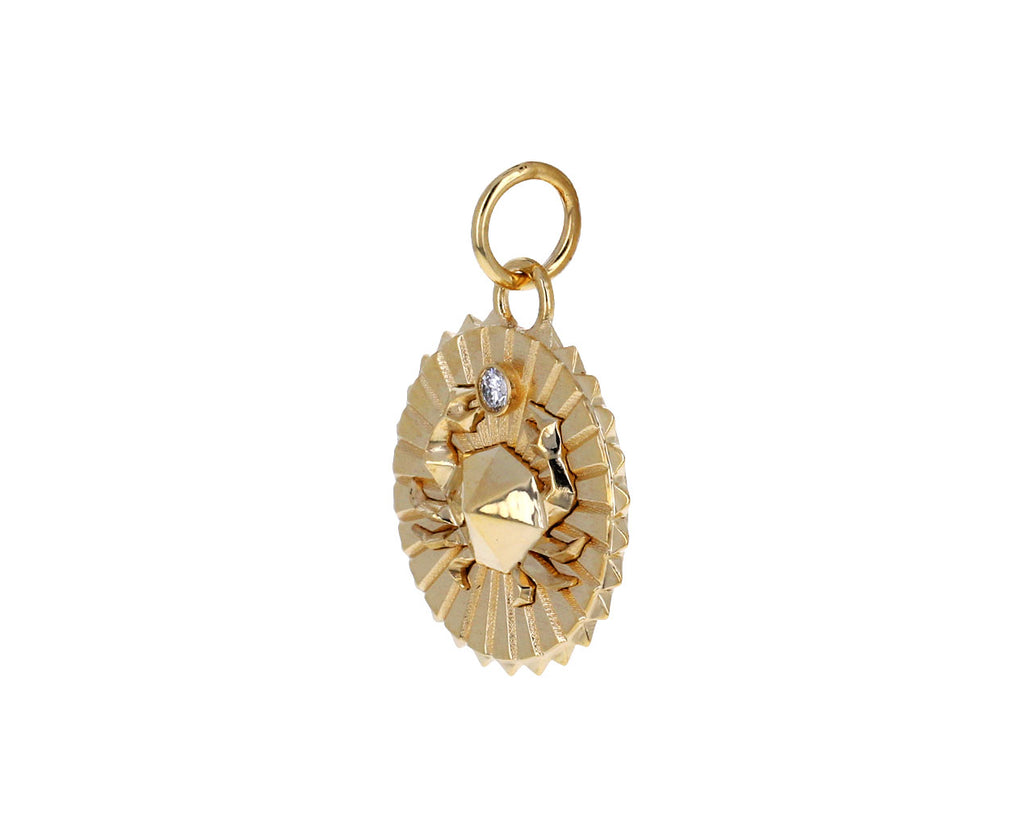 Cancer Zodiac Baby Medallion ONLY