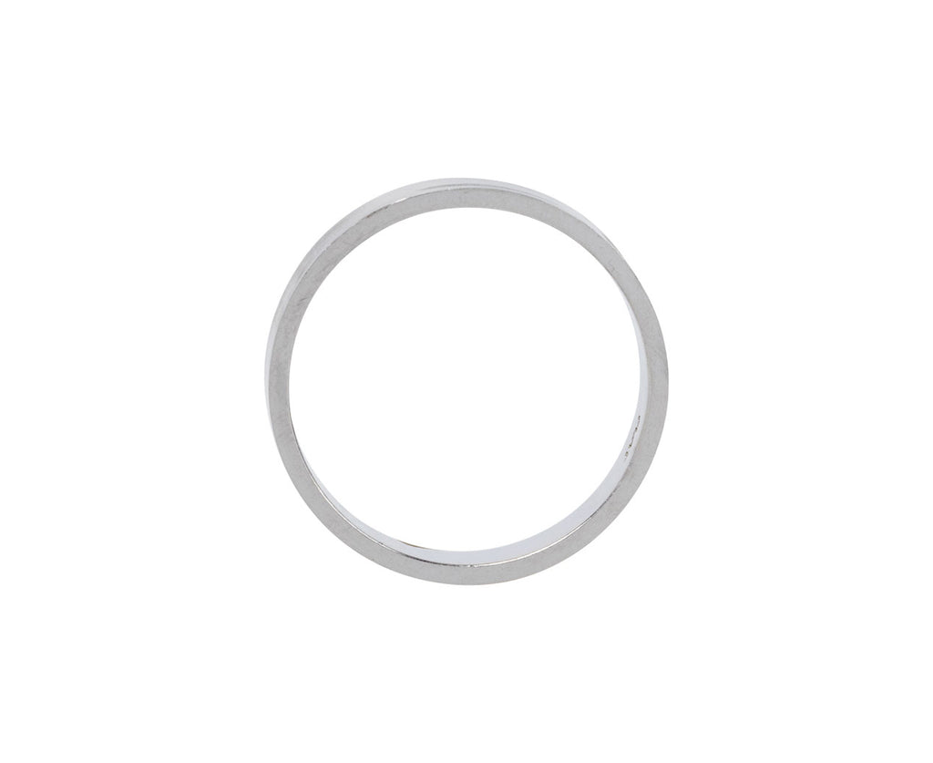 Rosanne Pugliese Platinum Men's Wedding Band Top