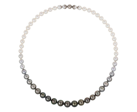 YUTAI Akoya Black Pearl Ombre Sectional Necklace