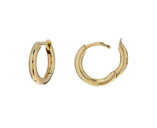 Gold Micro Hoop Earrings - TWISTonline 