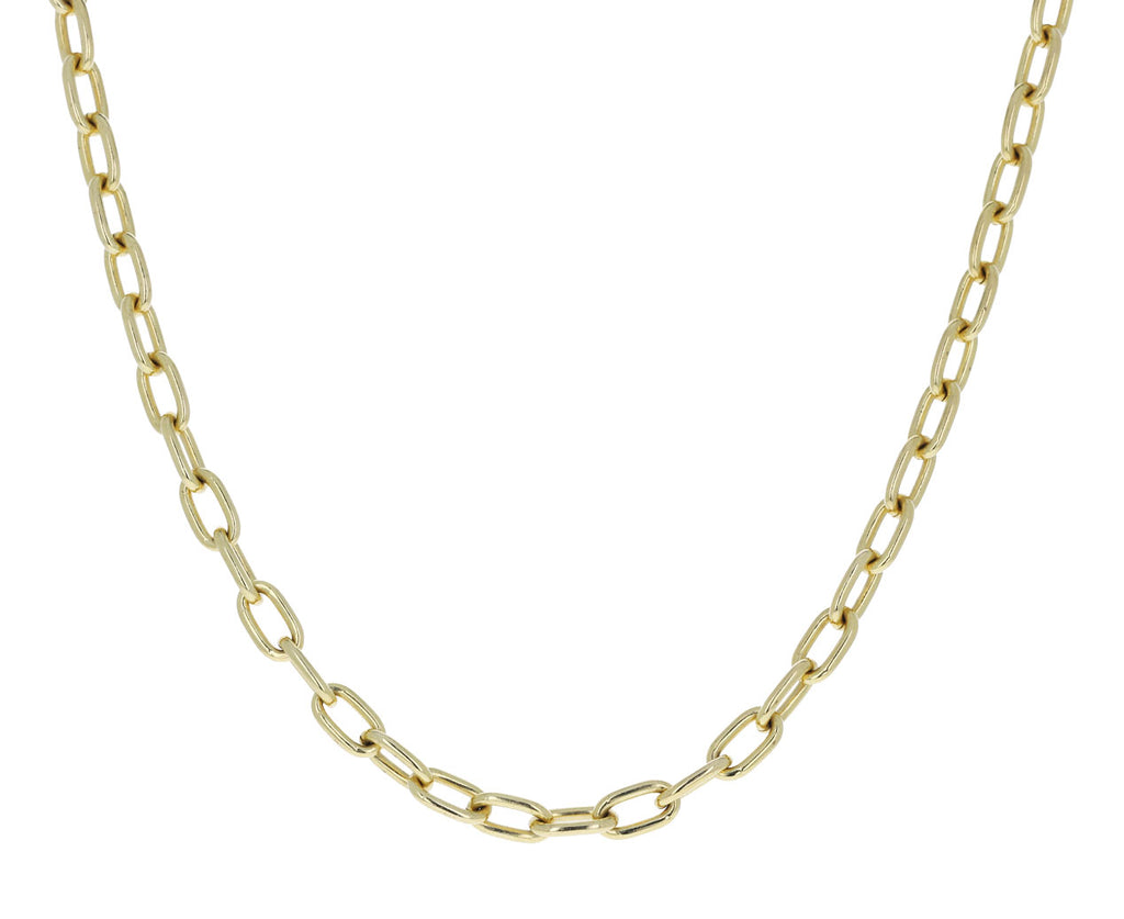 Alexis Bittar Lucite Molten Extra-Large Link Necklace | Neiman Marcus