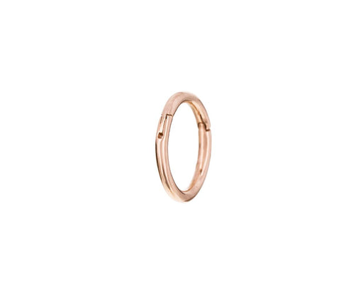 1/4 Rose Gold SINGLE Rotating Hoop - TWISTonline 