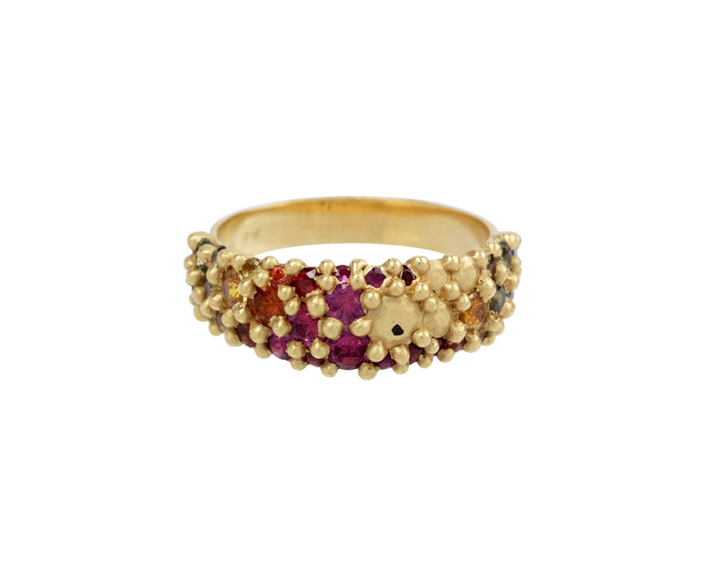 Polly Wales Rainbow Sapphire Tapered River Ring