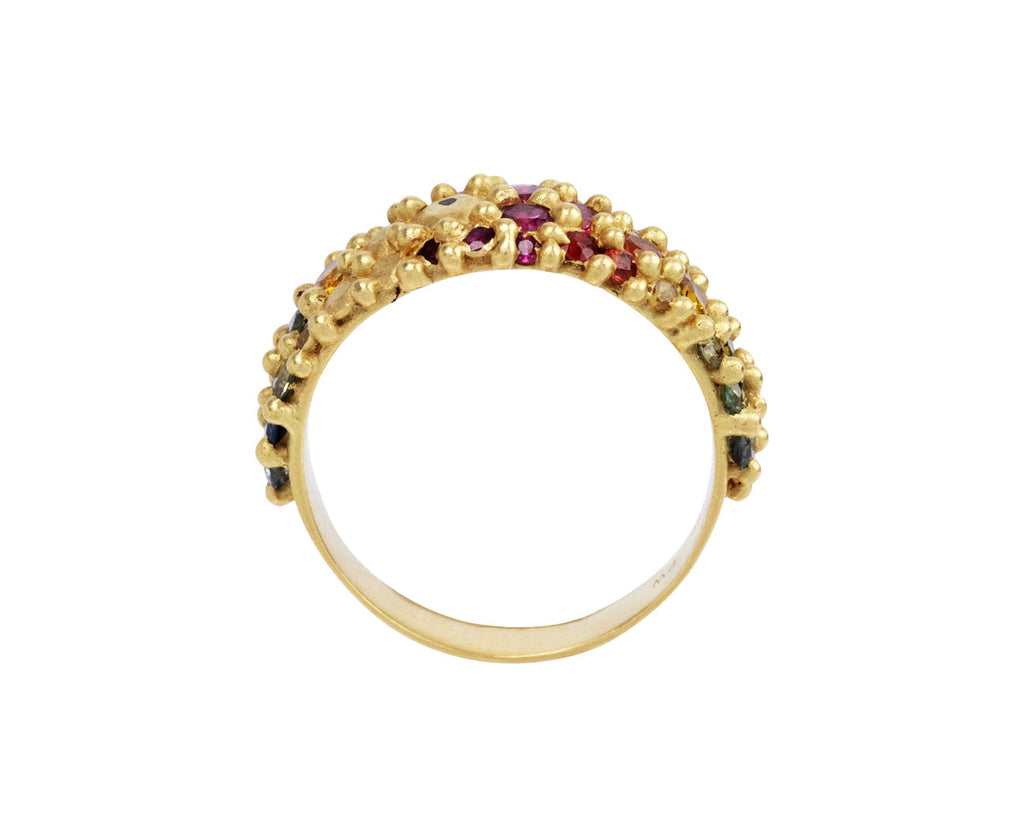 Polly Wales Rainbow Sapphire Tapered River Ring Top