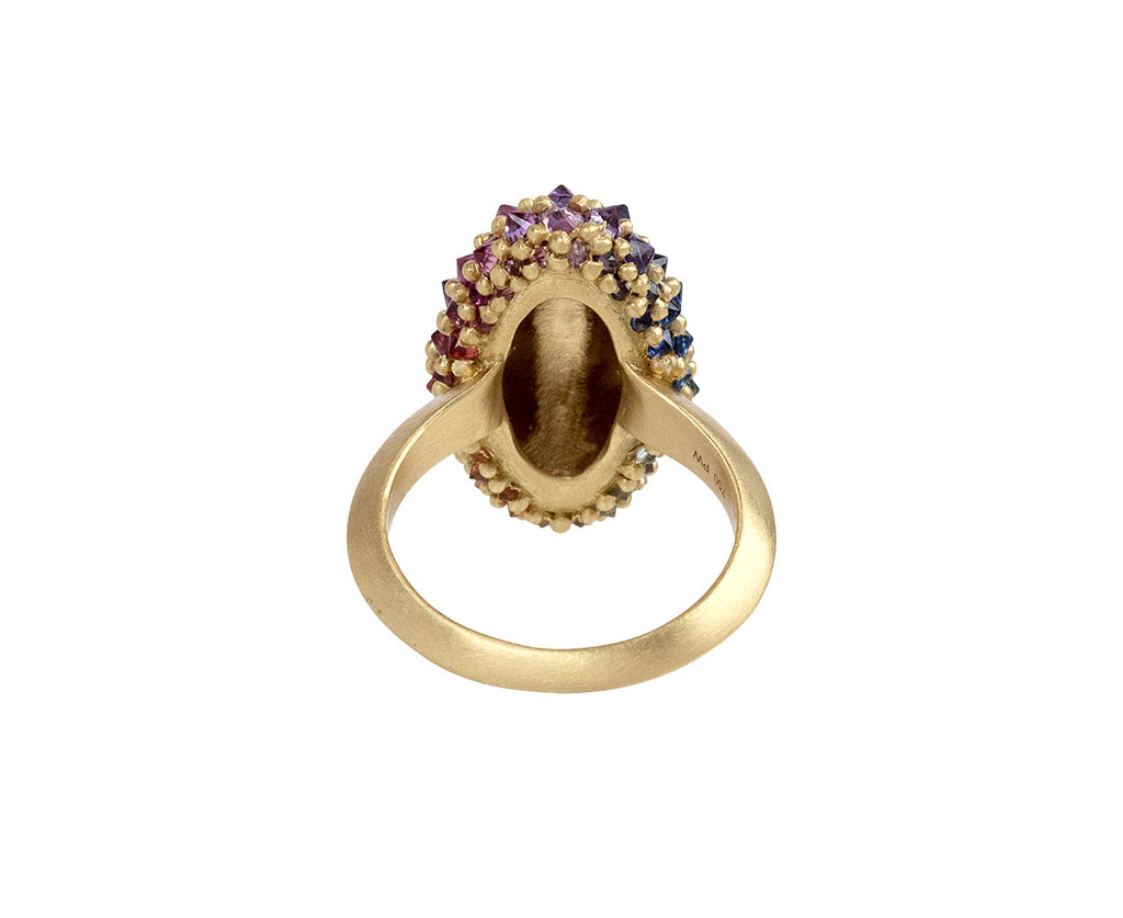 Polly Wales Rainbow Sapphire Sputnik Cocktail Ring Back