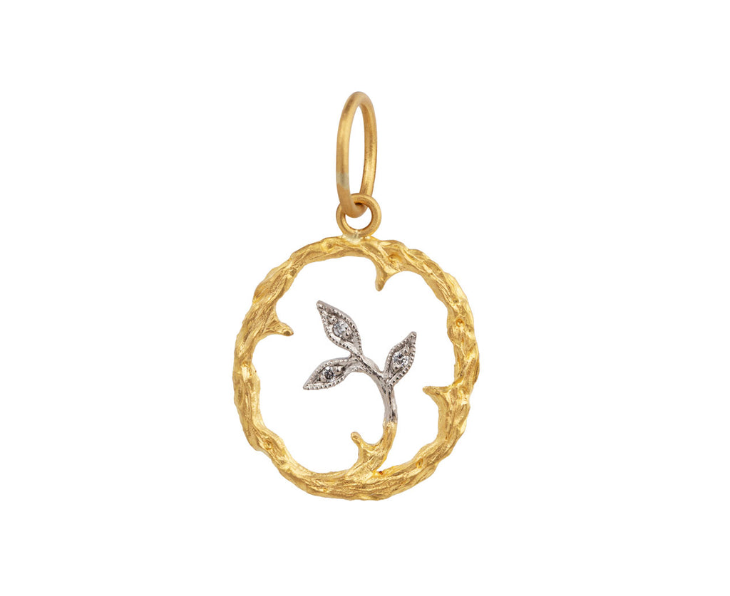 Branch Pendant ONLY