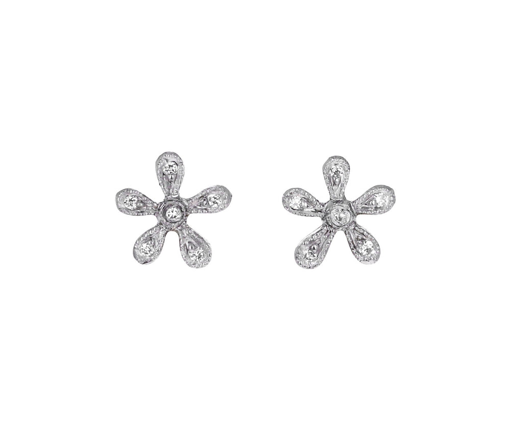 Tiny Daisy Posts